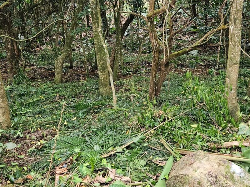 Less than 2km away from the beach, a rare vacant stand awaits - Photo 4