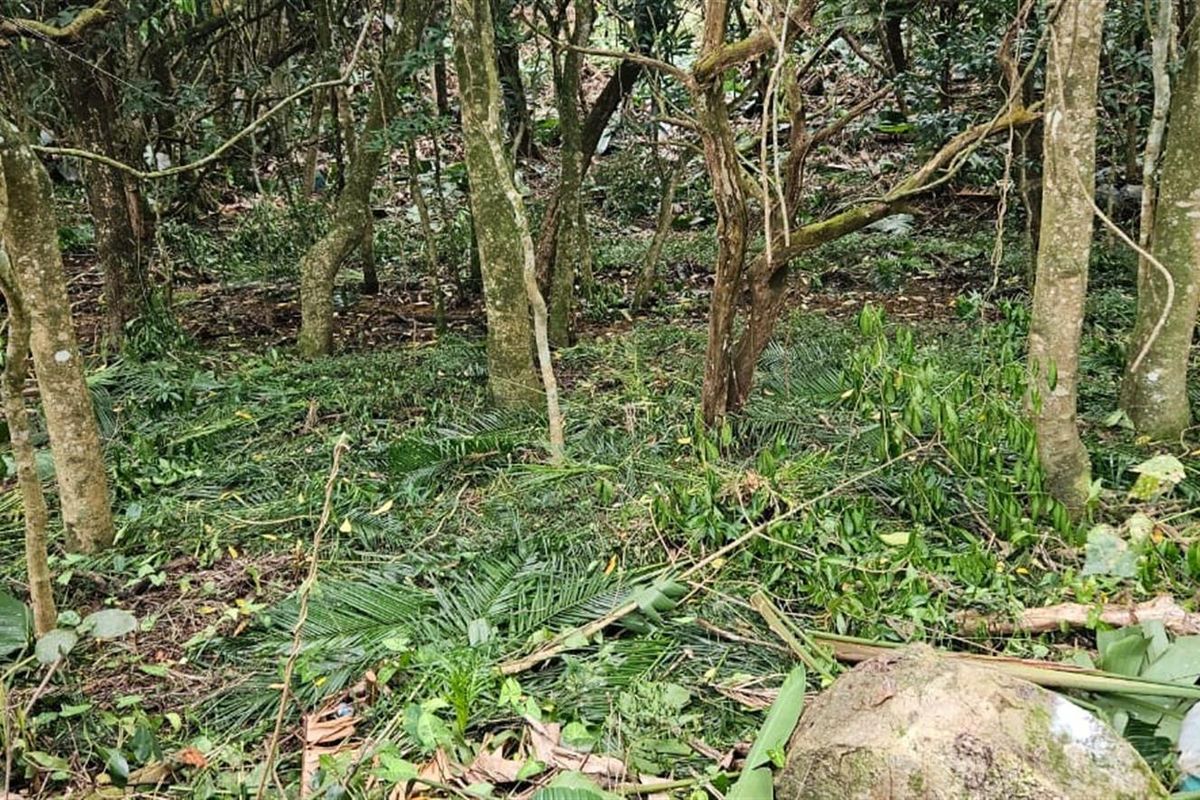 Less than 2km away from the beach, a rare vacant stand awaits - Photo 4