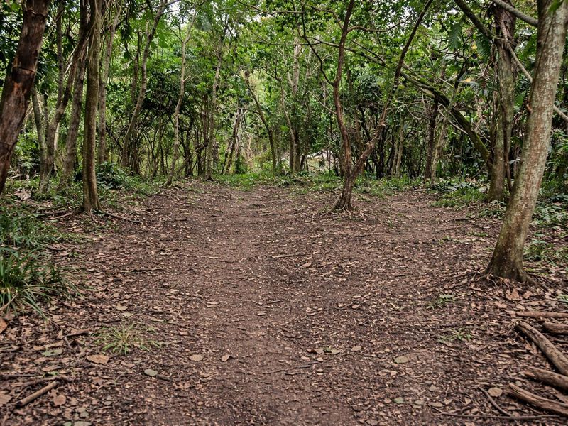 Less than 2km away from the beach, a rare vacant stand awaits - Photo 7