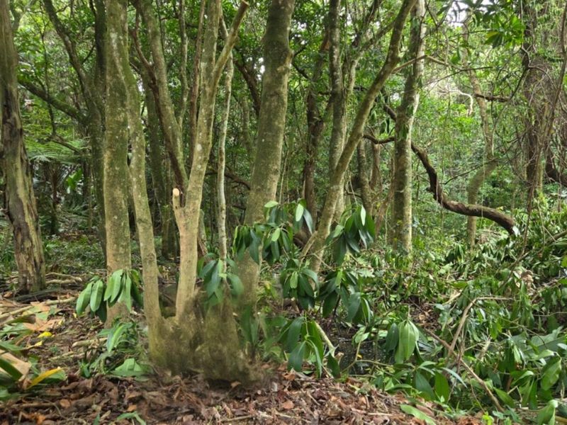 Less than 2km away from the beach, a rare vacant stand awaits - Photo 6