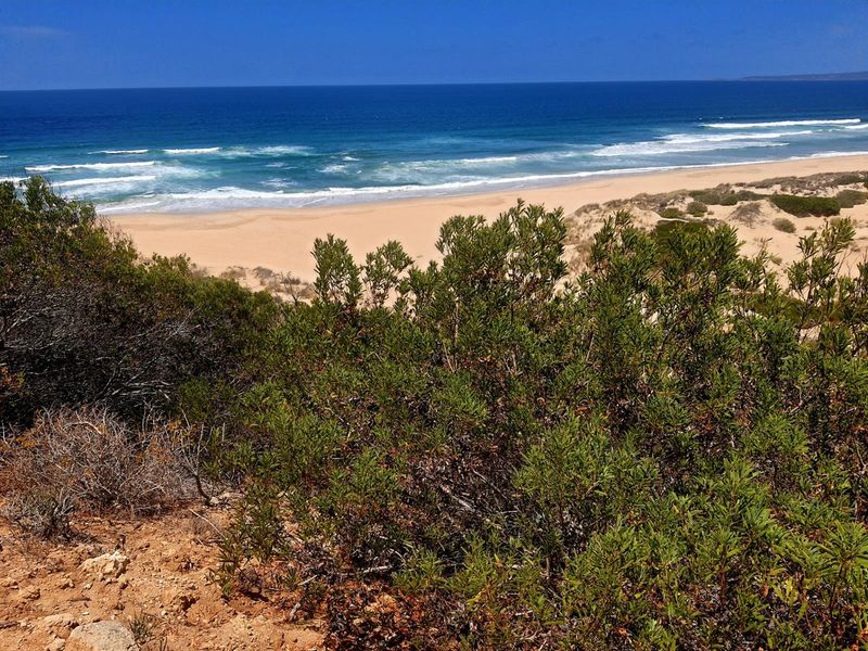 A Rare Front-Row Opportunity at the Edge of the Indian Ocean - Photo 7