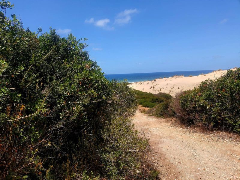 A Rare Front-Row Opportunity at the Edge of the Indian Ocean - Photo 6