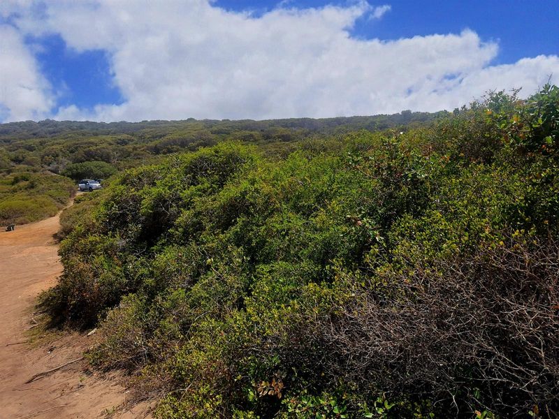 A Rare Front-Row Opportunity at the Edge of the Indian Ocean - Photo 4