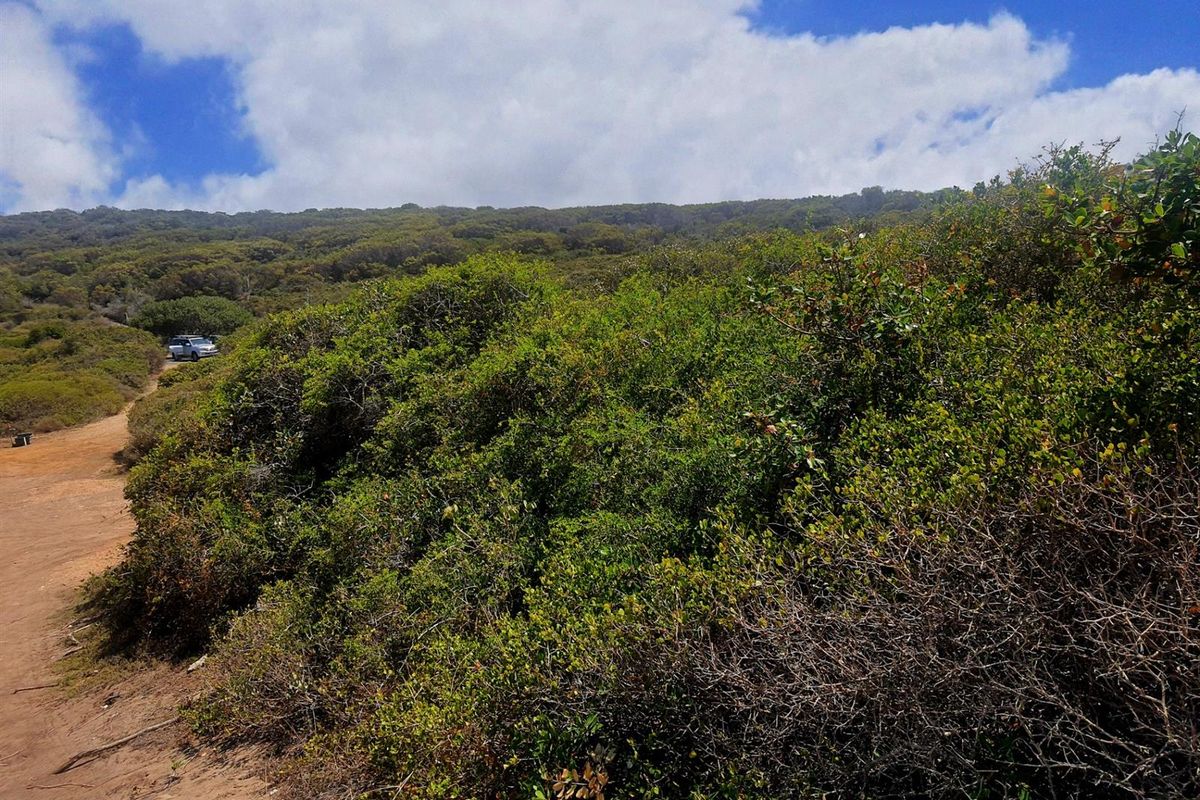 A Rare Front-Row Opportunity at the Edge of the Indian Ocean - Photo 4