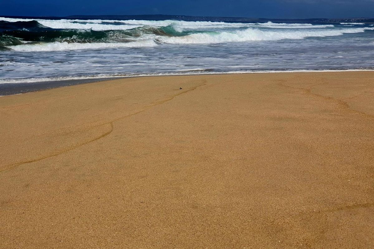 A Rare Front-Row Opportunity at the Edge of the Indian Ocean - Photo 3