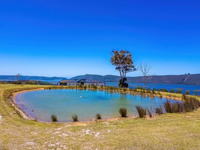 Vacant Land For Sale in Welbedacht, Knysna - Photo 10