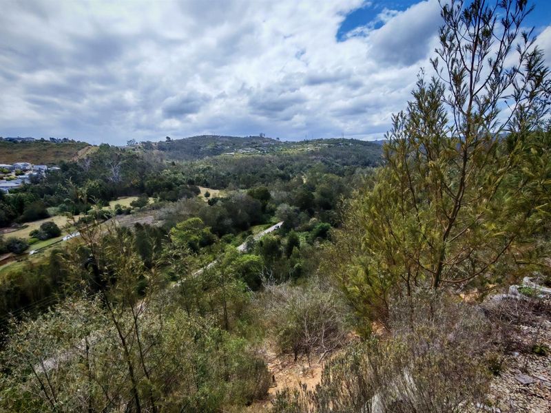 A scenic elevated view overlooking a lush, green valley with rolling hills and natural vegetation.
