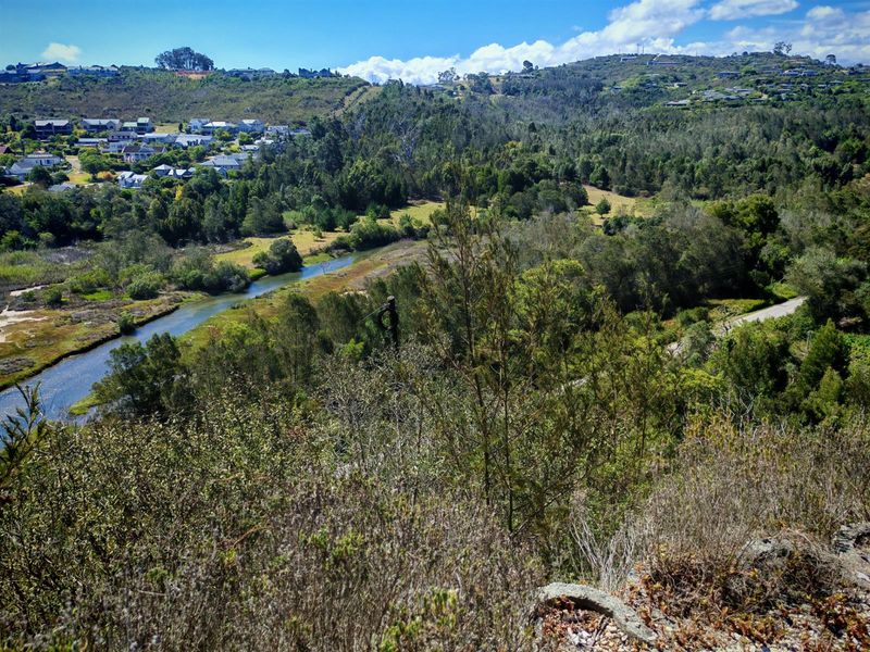A scenic elevated view overlooking a natural river, surrounding lush vegetation, and distant residential neighborhood.