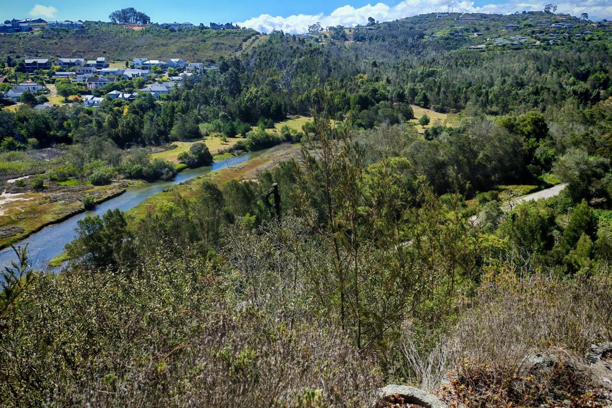 A scenic elevated view overlooking a natural river, surrounding lush vegetation, and distant residential neighborhood.