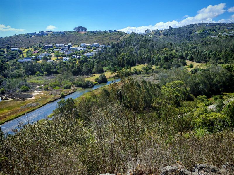 A scenic elevated view overlooking a natural river, surrounding lush vegetation, and distant residential hillside properties.
