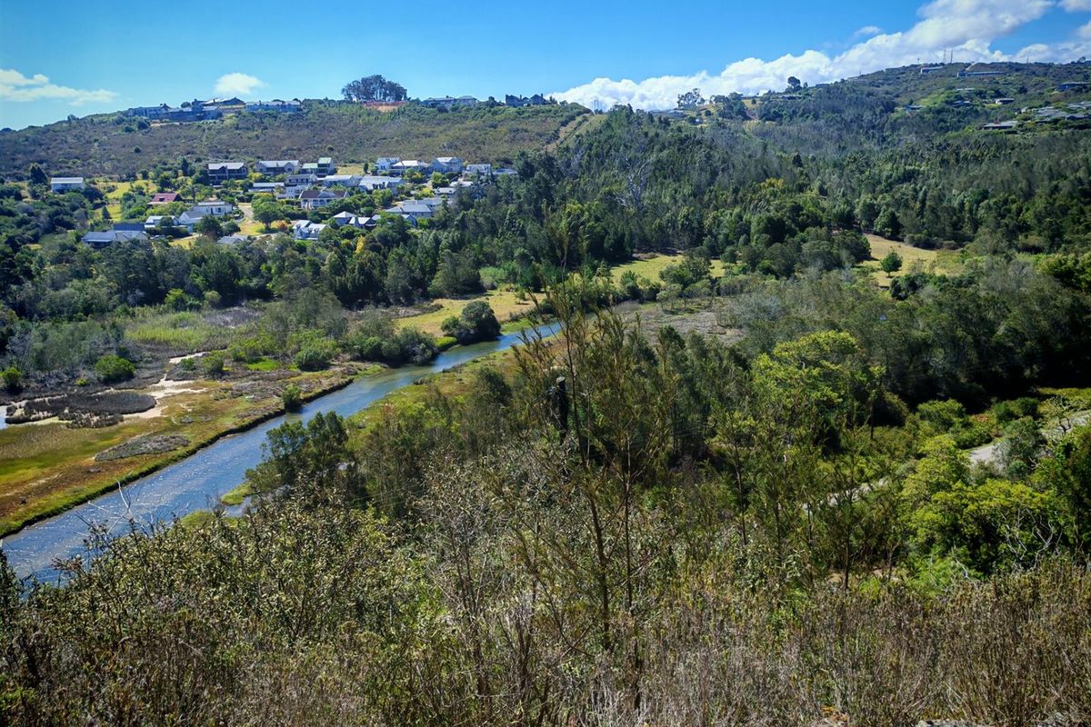 A scenic elevated view overlooking a natural river, surrounding lush vegetation, and distant residential hillside properties.