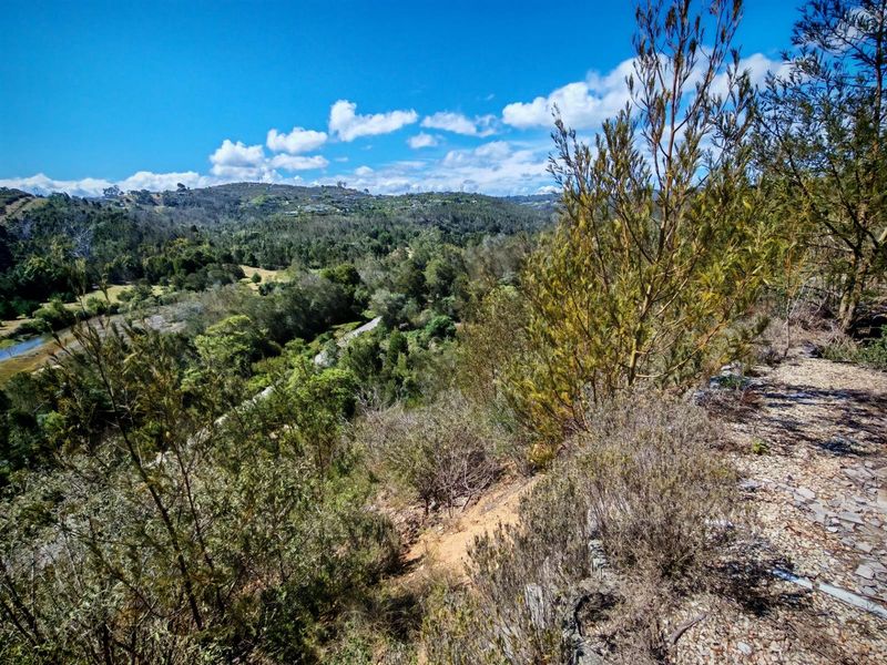 A scenic elevated view overlooking a lush valley with native vegetation and natural landscape features.
