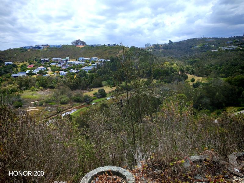 A scenic elevated view overlooking a natural landscape, valley, and distant residential neighborhood.