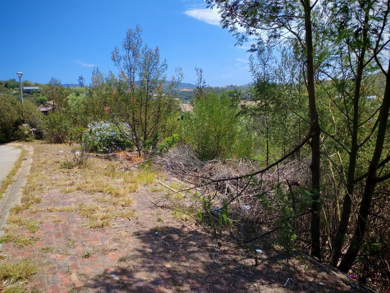 A view of a vacant residential plot featuring a paved driveway area, overgrown vegetation, and surrounding landscape views.
