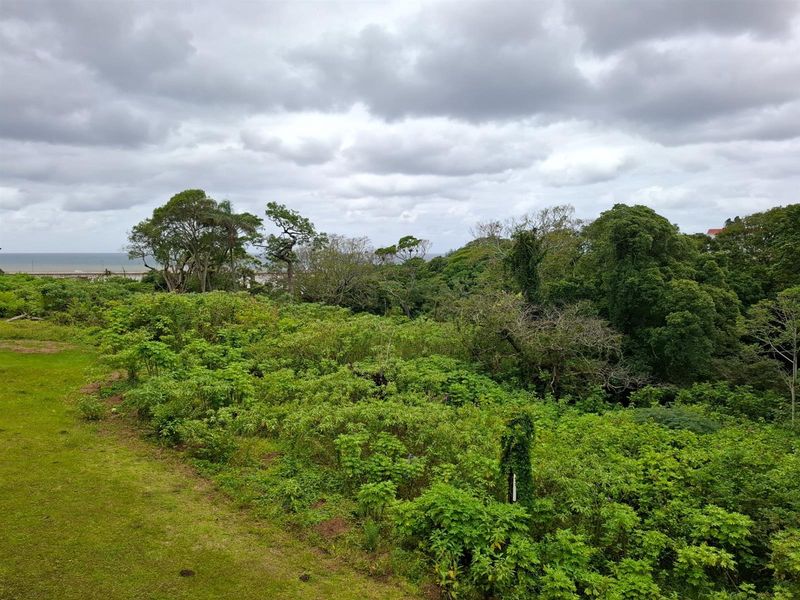 A scenic elevated view overlooking lush green vegetation and trees with a distant glimpse of the ocean under a cloudy sky.