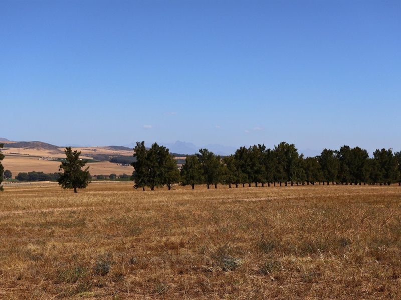 49Ha Highly Sought-After Malmesbury Rural Lifestyle Land with 22 x 2-Ha Subdivision Framework - Photo 10