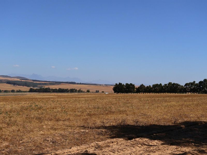 49Ha Highly Sought-After Malmesbury Rural Lifestyle Land with 22 x 2-Ha Subdivision Framework - Photo 9