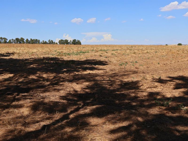 49Ha Highly Sought-After Malmesbury Rural Lifestyle Land with 22 x 2-Ha Subdivision Framework - Photo 8