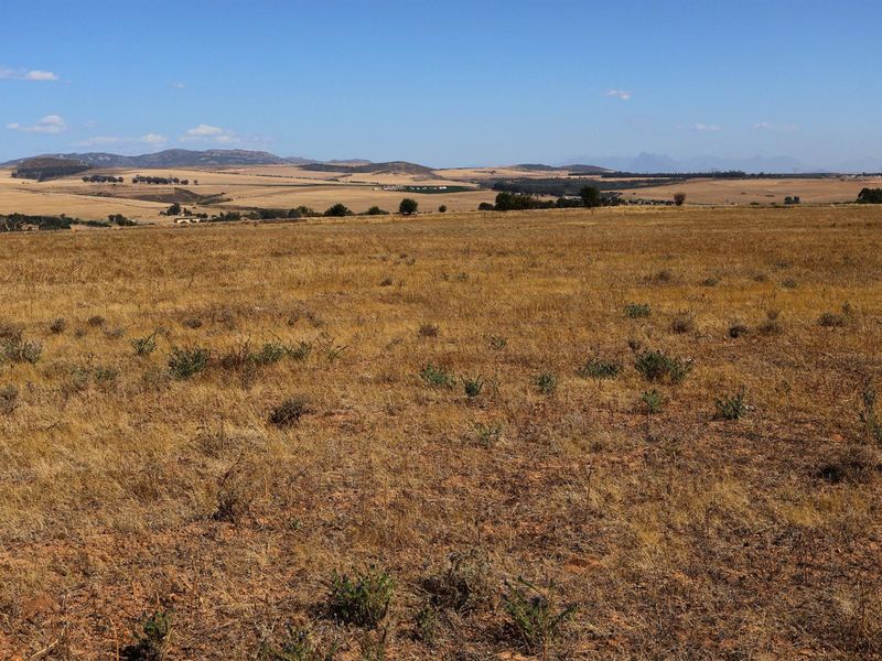 49Ha Highly Sought-After Malmesbury Rural Lifestyle Land with 22 x 2-Ha Subdivision Framework - Photo 3
