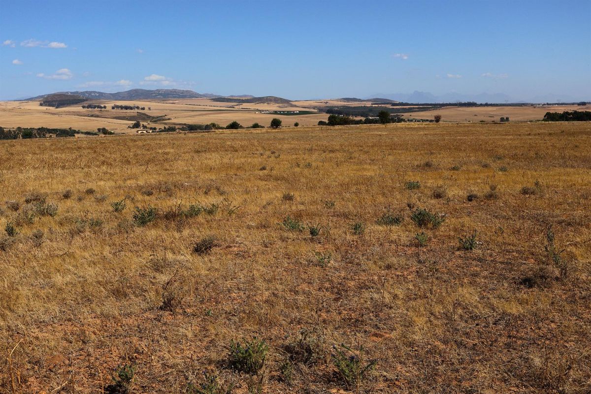 49Ha Highly Sought-After Malmesbury Rural Lifestyle Land with 22 x 2-Ha Subdivision Framework - Photo 3