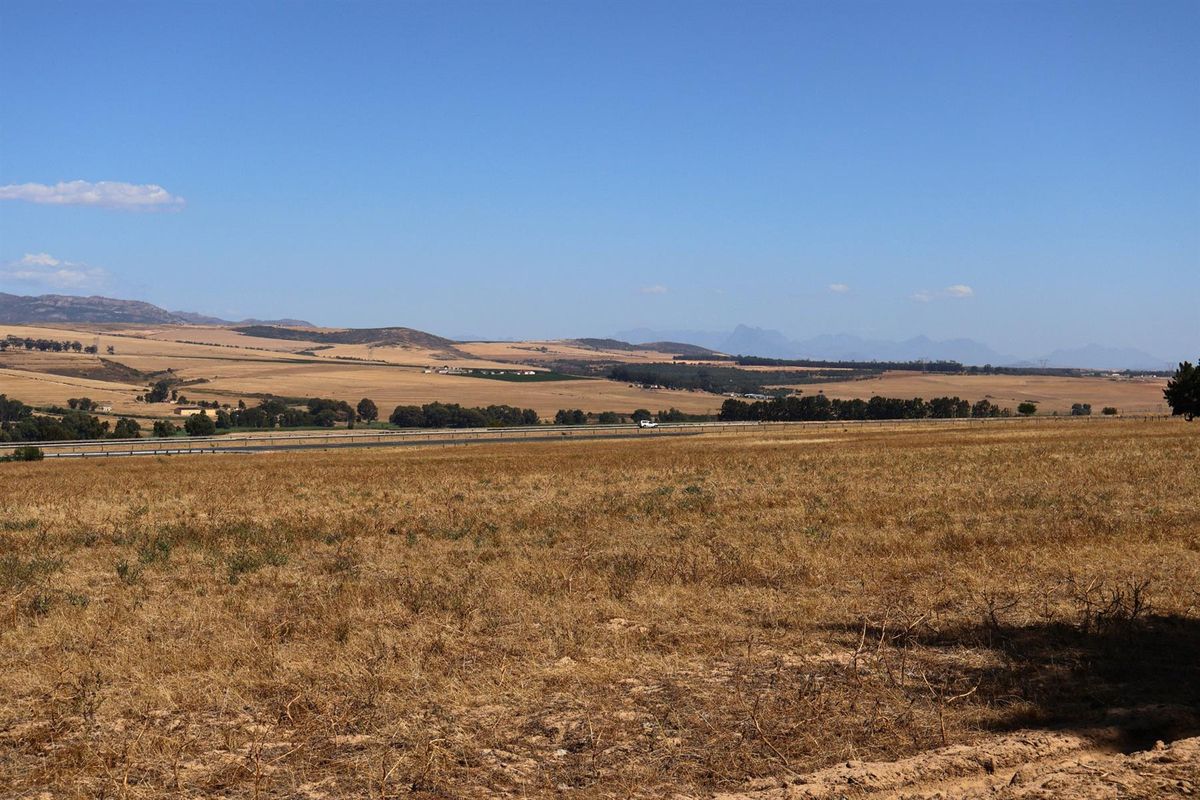 49Ha Highly Sought-After Malmesbury Rural Lifestyle Land with 22 x 2-Ha Subdivision Framework - Photo 4