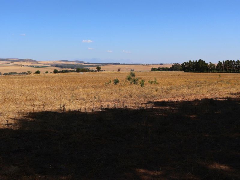 49Ha Highly Sought-After Malmesbury Rural Lifestyle Land with 22 x 2-Ha Subdivision Framework - Photo 6