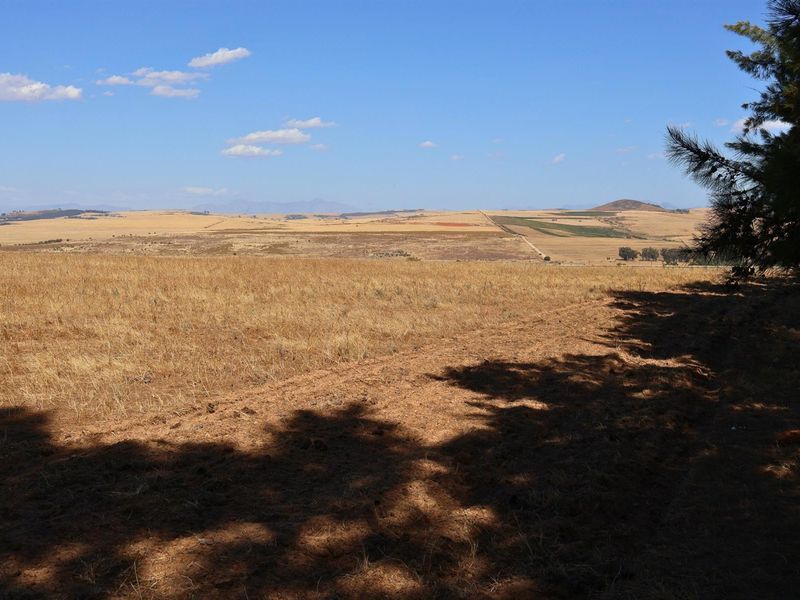 49Ha Highly Sought-After Malmesbury Rural Lifestyle Land with 22 x 2-Ha Subdivision Framework - Photo 5