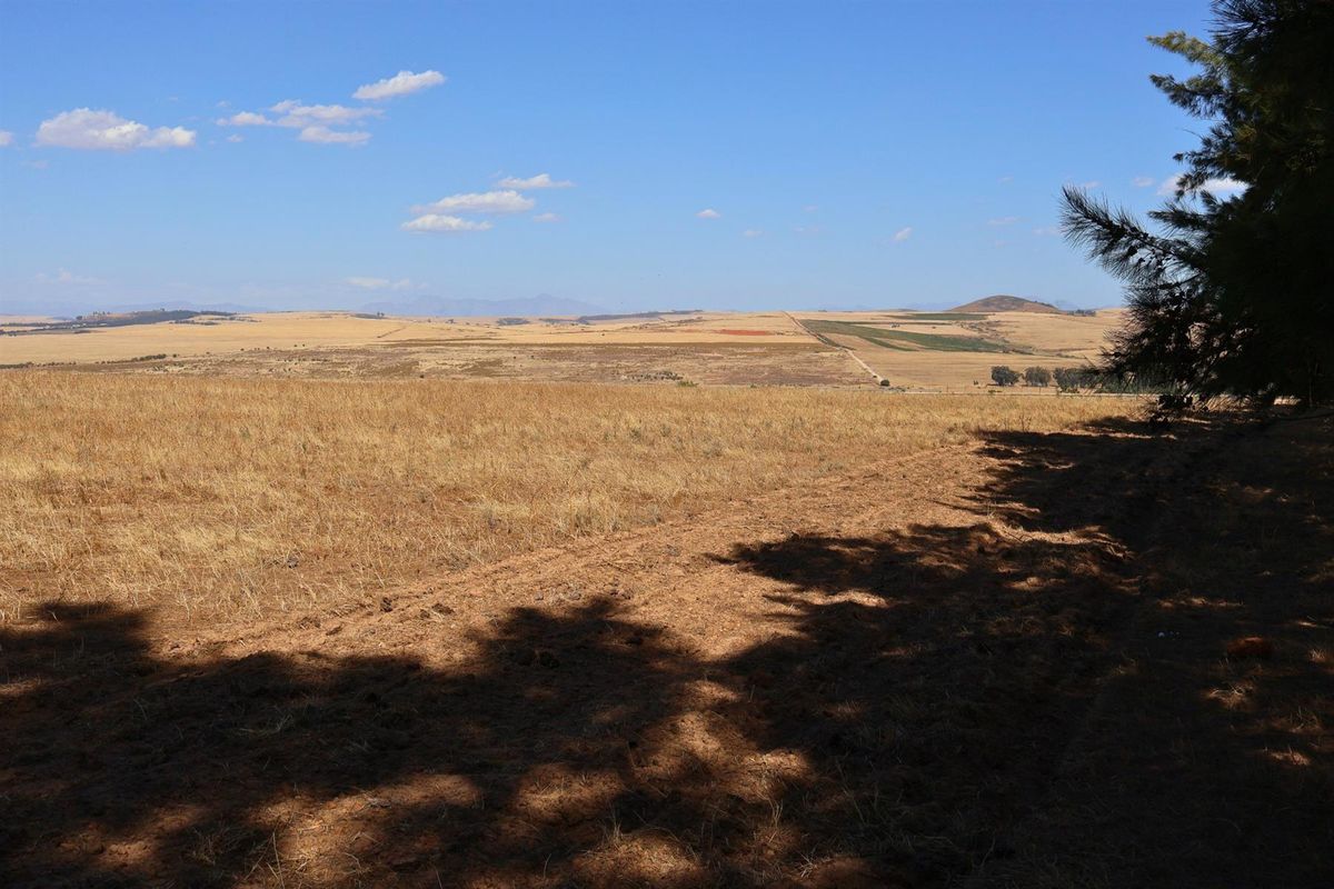 49Ha Highly Sought-After Malmesbury Rural Lifestyle Land with 22 x 2-Ha Subdivision Framework - Photo 5