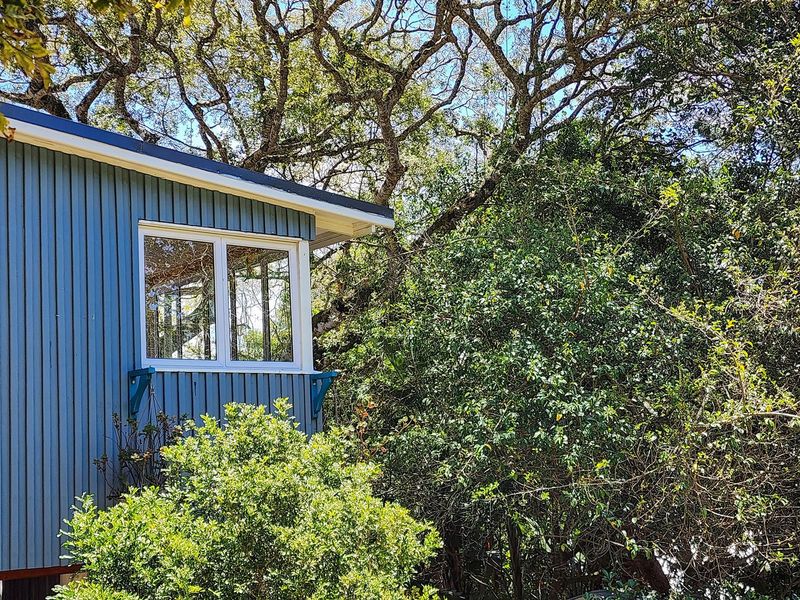 TRANQUIL, NESTLED BETWEEN TREES, PERMANENT RESIDENCE, HOLIDAY RETREAT OR INCOME PRODUCING PROPERTY. - Photo 2