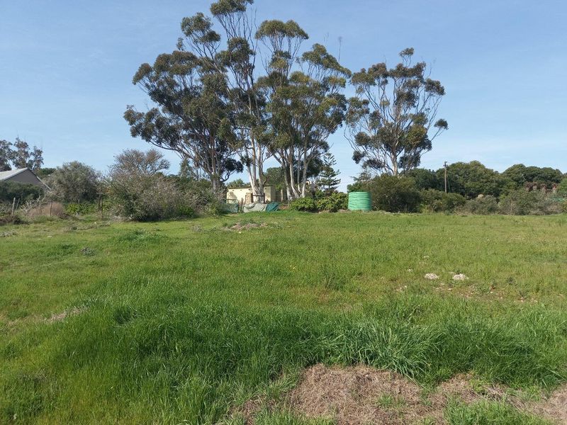 Farm For Sale in Vermaaklikheid, Riversdale - Photo 2