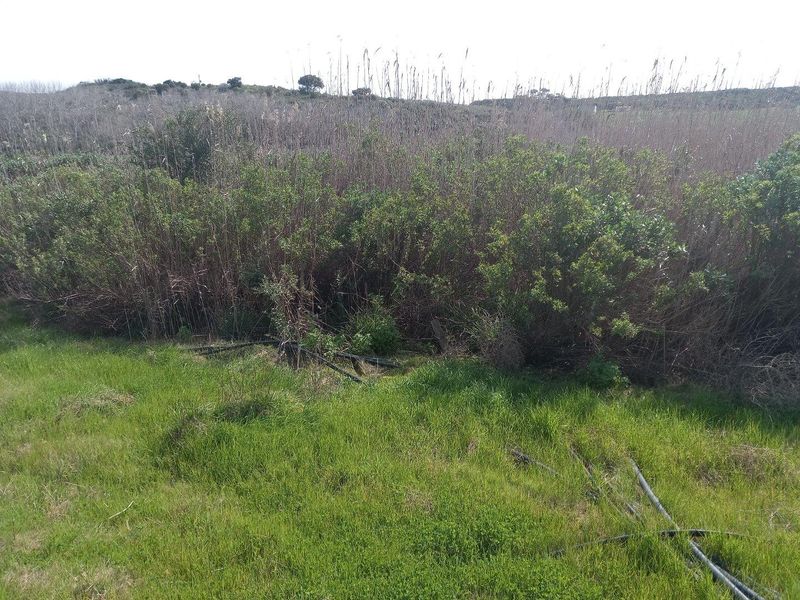 Farm UNDER OFFER in Vermaaklikheid, Riversdale - Photo 1