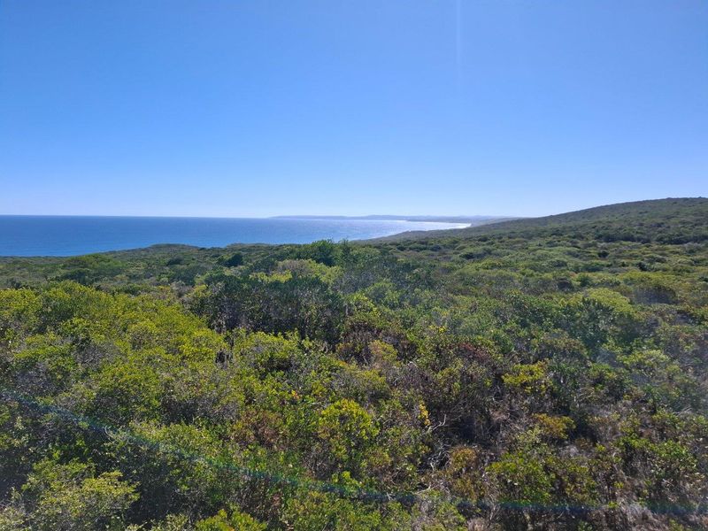 UNDER OFFER in Stilbaai Rural, Stilbaai - Photo 9