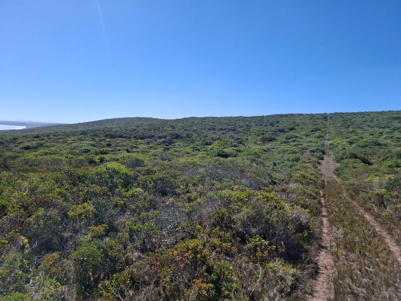 UNDER OFFER in Stilbaai Rural, Stilbaai - Photo 8
