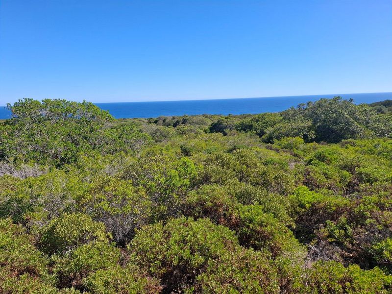 UNDER OFFER in Stilbaai Rural, Stilbaai - Photo 7