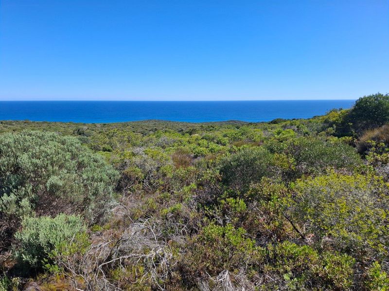 UNDER OFFER in Stilbaai Rural, Stilbaai - Photo 6