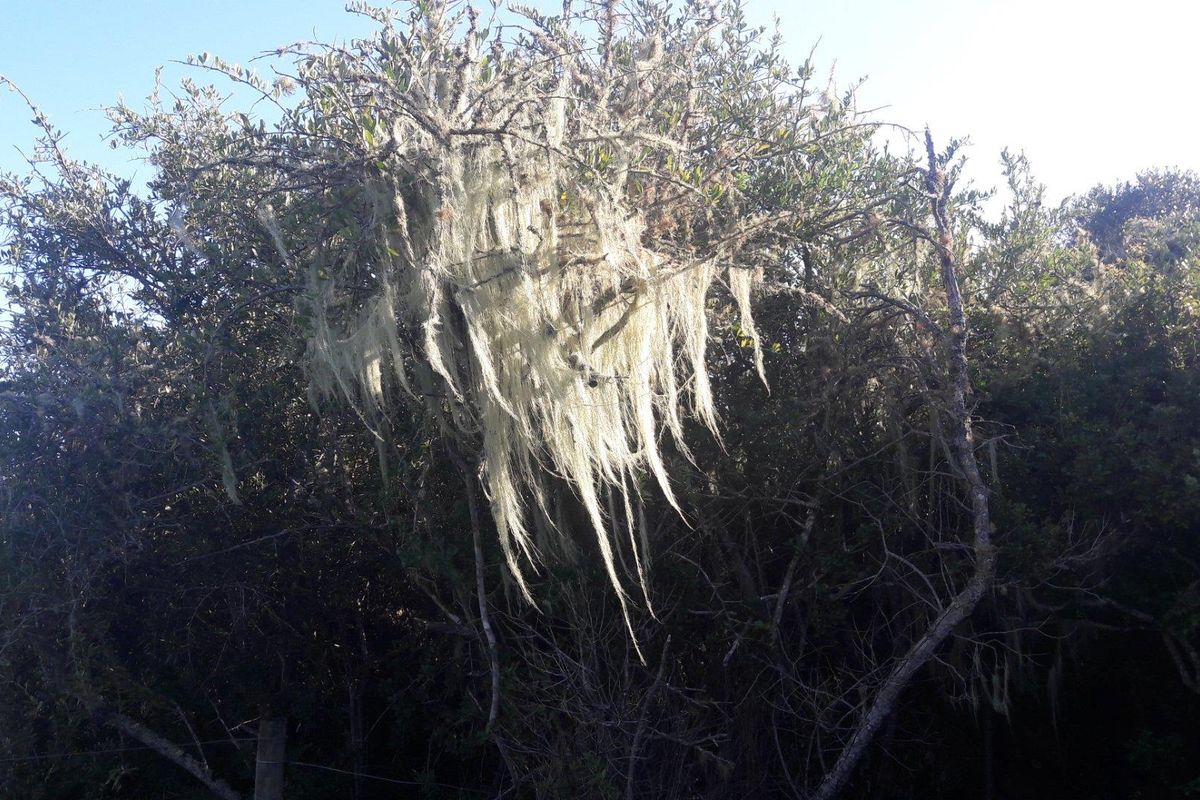 Farm For Sale in Stilbaai Rural, Stilbaai - Photo 5