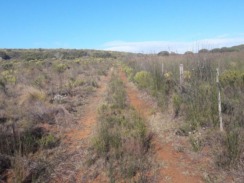 A dirt track running through open veld or farmland, bordered by a simple wire and post fence.