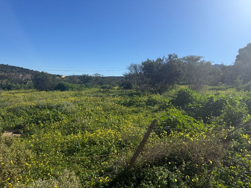 Vacant Land For Sale in Van Wyksdorp, Ladismith - Photo 5