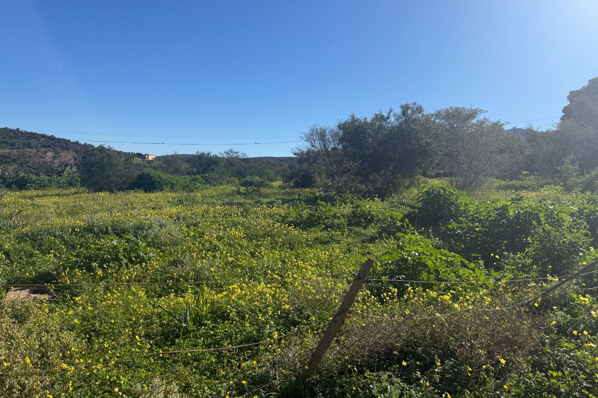 A view of a vacant residential plot featuring natural vegetation, wild flowers, and existing wire perimeter fencing under a clear blue sky.