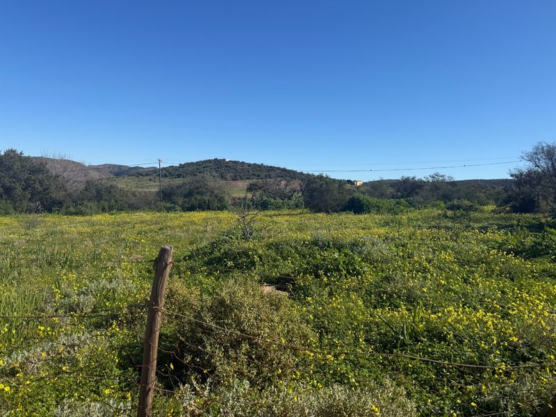 Vacant Land For Sale in Van Wyksdorp, Ladismith - Photo 2