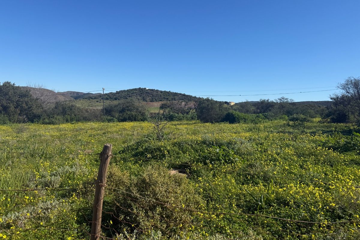 A view of a vacant residential plot featuring natural vegetation, wild flowers, and perimeter wire fencing against a scenic hilly landscape.