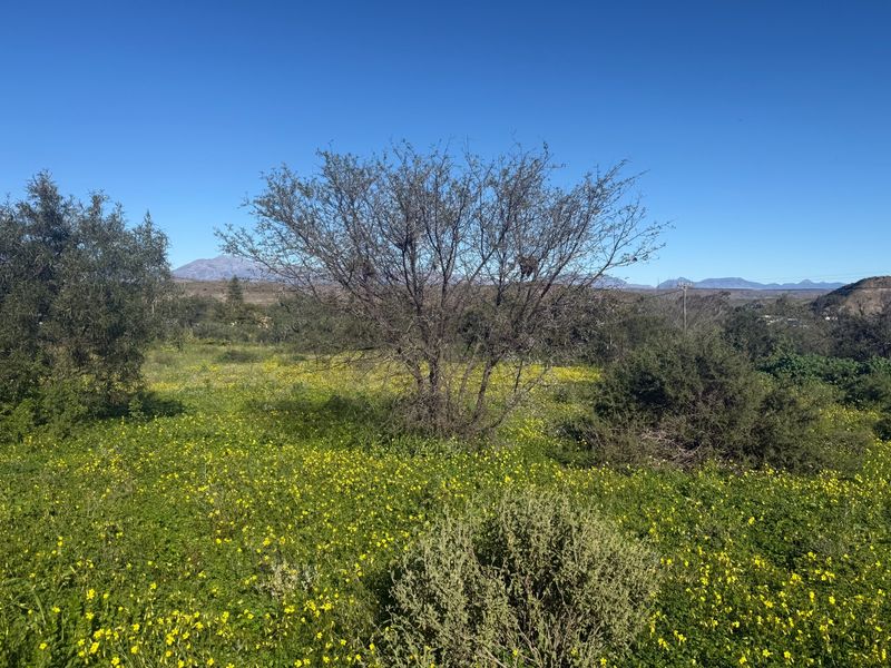 Vacant Land For Sale in Van Wyksdorp, Ladismith - Photo 3