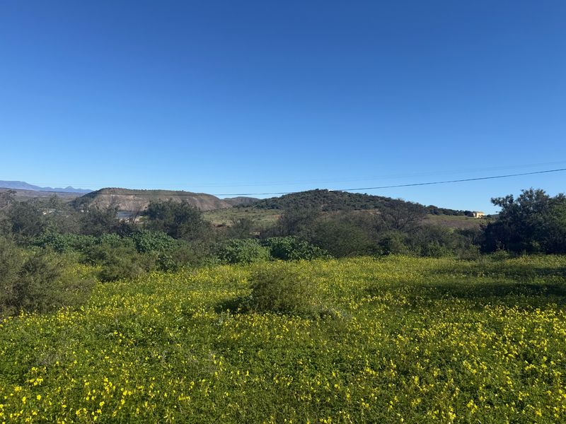 Vacant Land For Sale in Van Wyksdorp, Ladismith - Photo 4