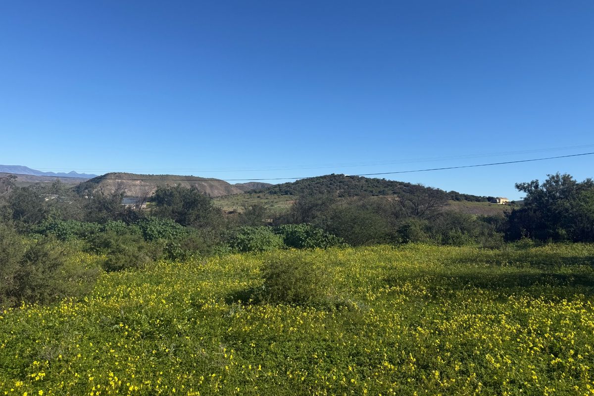 A scenic view of the vacant residential land featuring natural vegetation and rolling hills in the background.