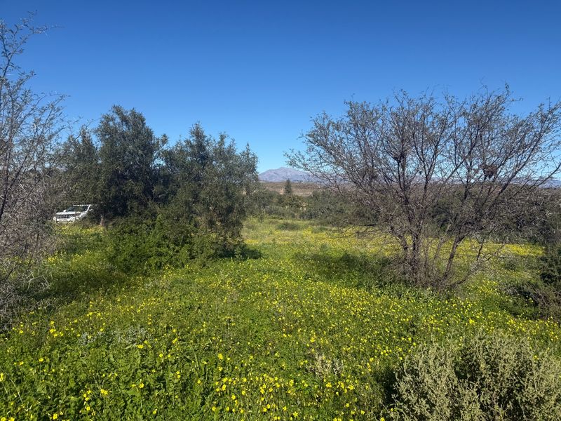 Vacant Land For Sale in Van Wyksdorp, Ladismith - Photo 6
