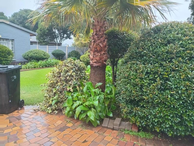 Large House for Sale in the Boomed Off Area of Hurlyvale - Photo 6