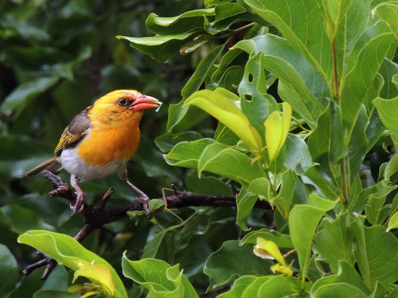 Vacant Land For Sale in Kranspoort Middelburg - Photo 8