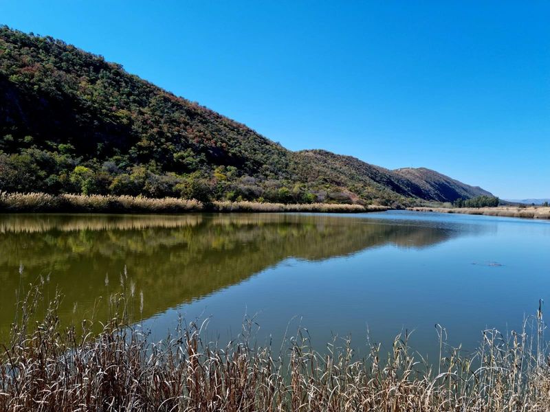 Vacant Land For Sale in Kranspoort Middelburg - Photo 6