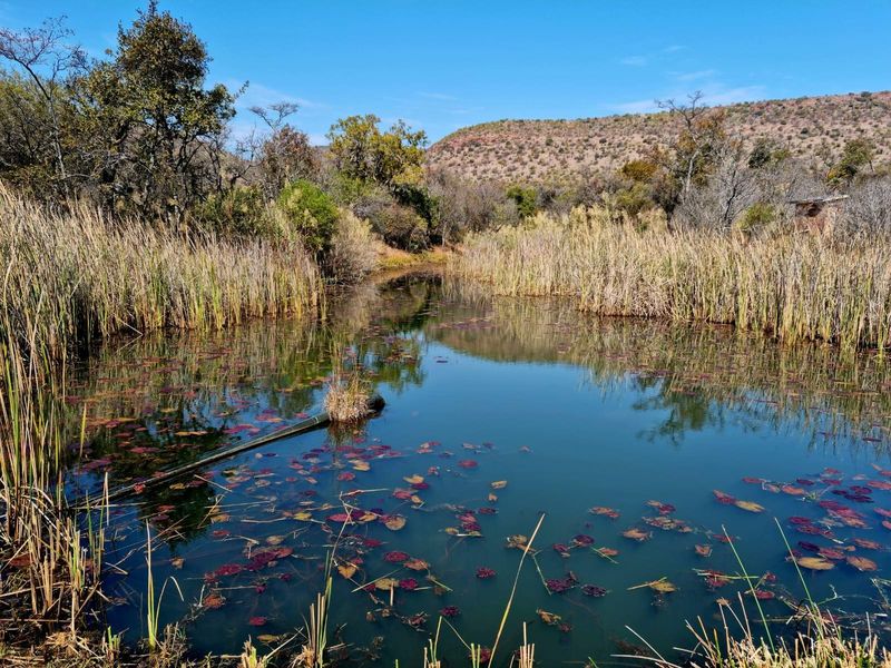 Vacant Land For Sale in Kranspoort Middelburg - Photo 9