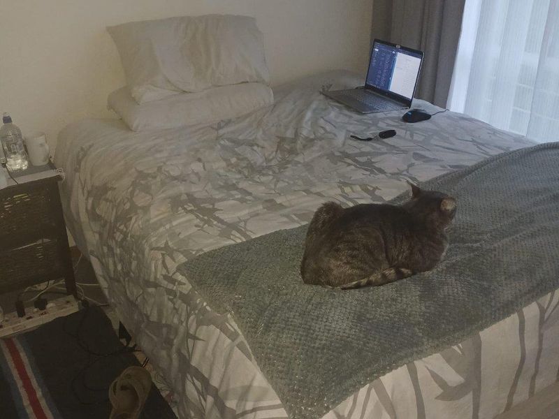 House For Sale in Benoni AH, Benoni - Photo 8